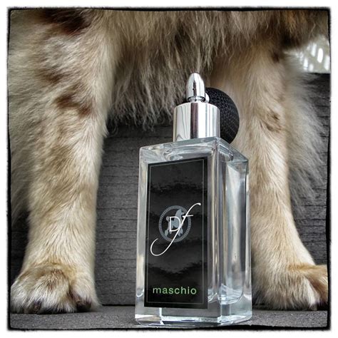 chanel perfume for dogs